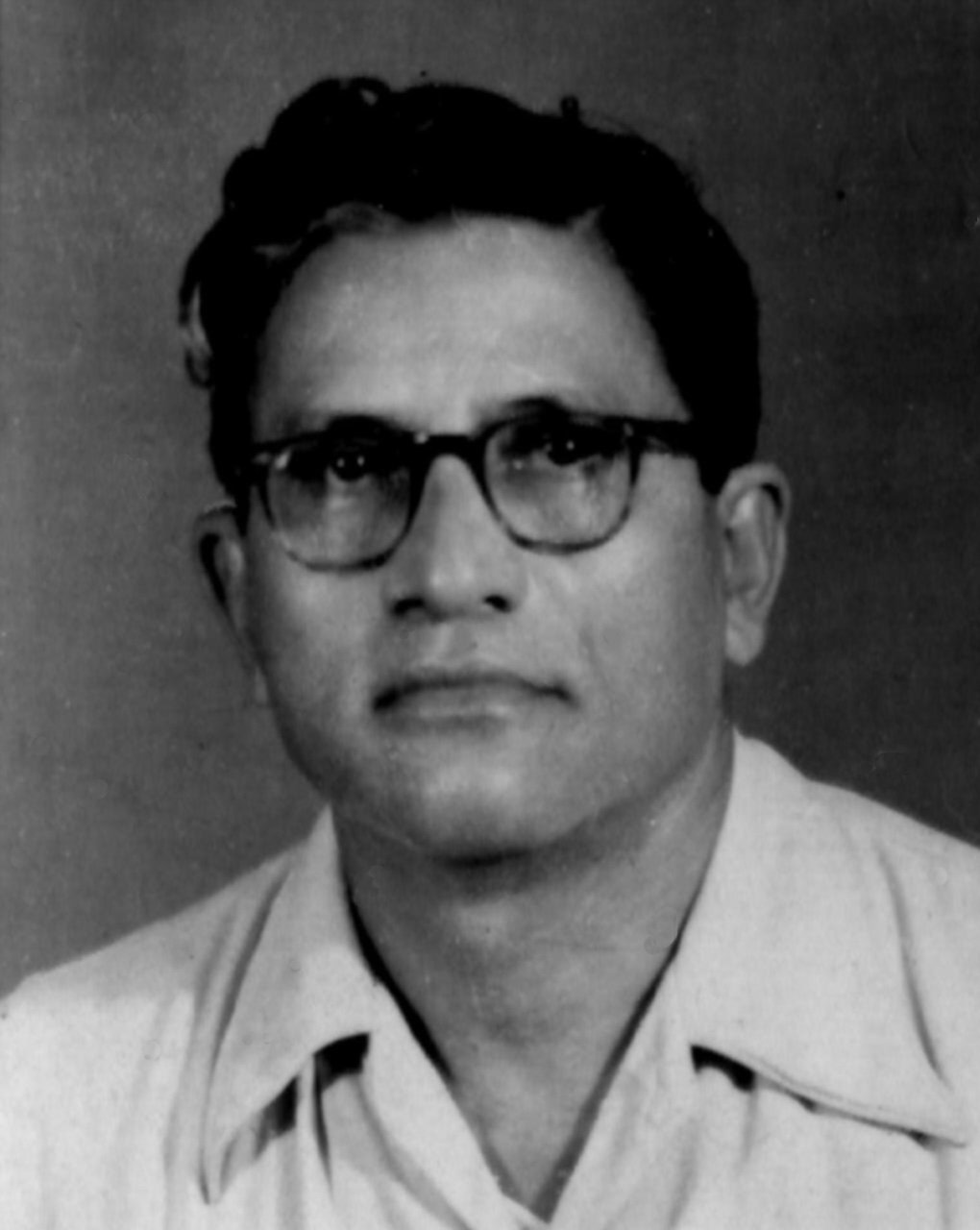 Hamidul Huq Chowdhury