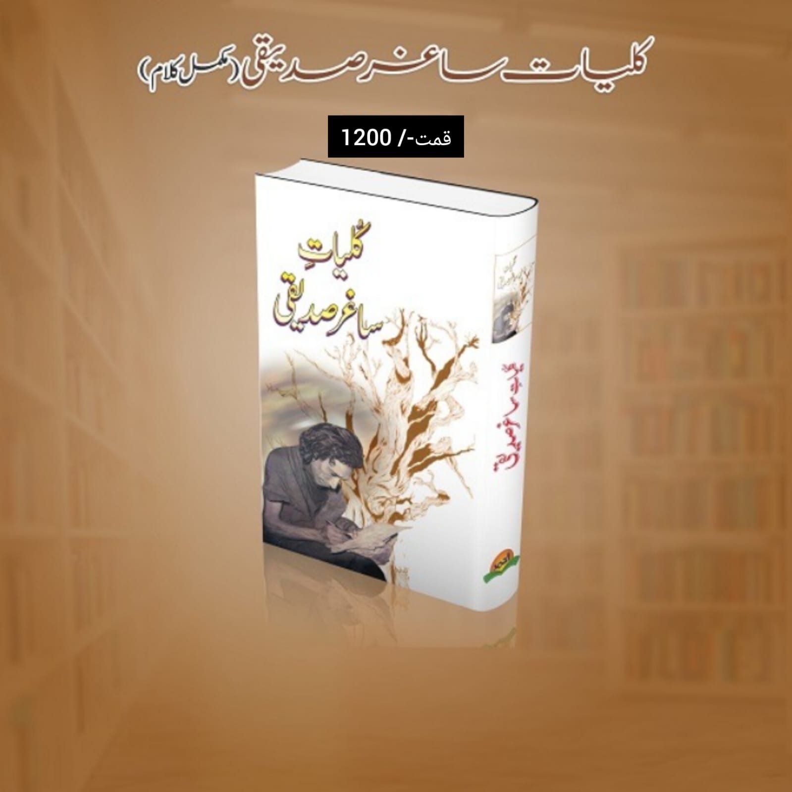  by Saghar Siddiqui - book cover